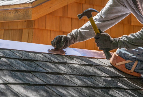 Best Roof Moss and Algae Removal  in Utica, NE